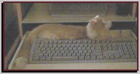 Sanderson in the Keyboard Tray